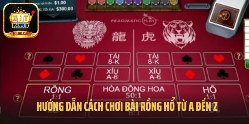 Hướng dẫn cách chơi bài rồng hổ từ A đến Z